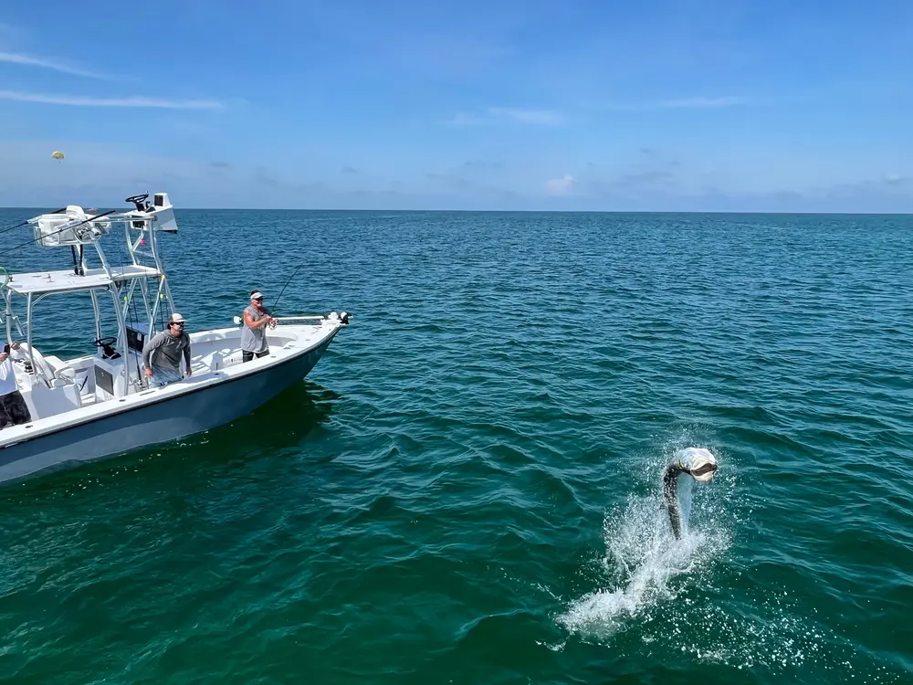 Things To Do Weekend Silver King Tarpon Trip